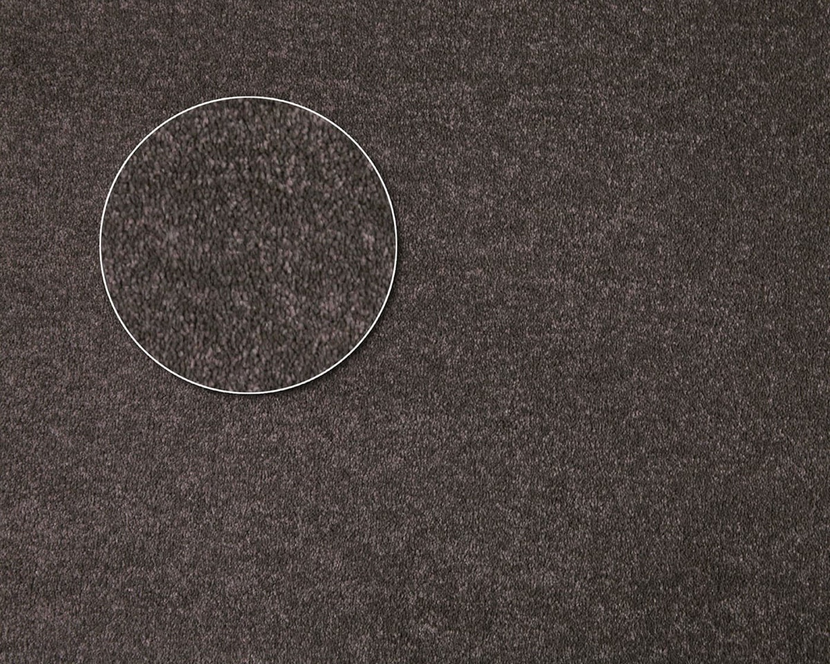 Soft neutral carpet sample