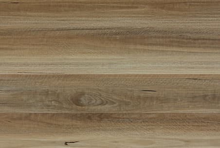 Coastal Spotted Gum