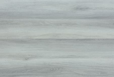 Grey Forest