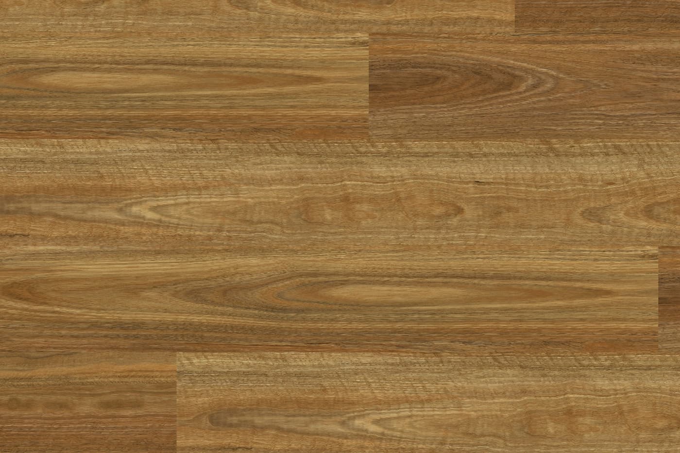 QLD Spotted Gum