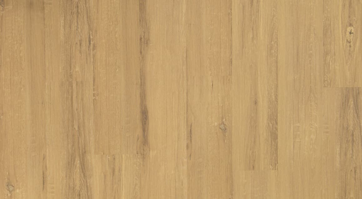 Blackbutt