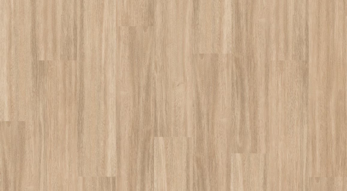 Coastal Oak