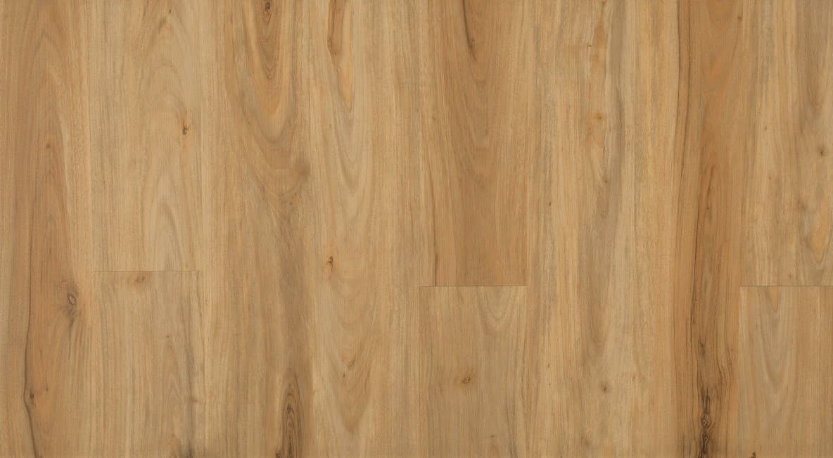 Spotted Gum