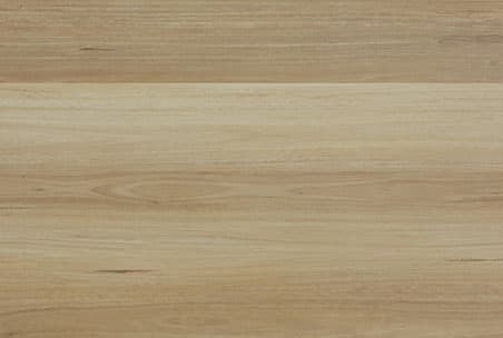 NSW Blackbutt