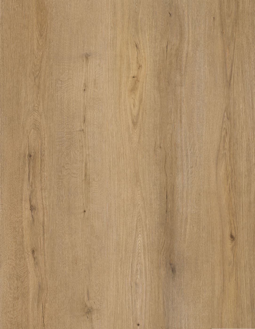 Oak Latte