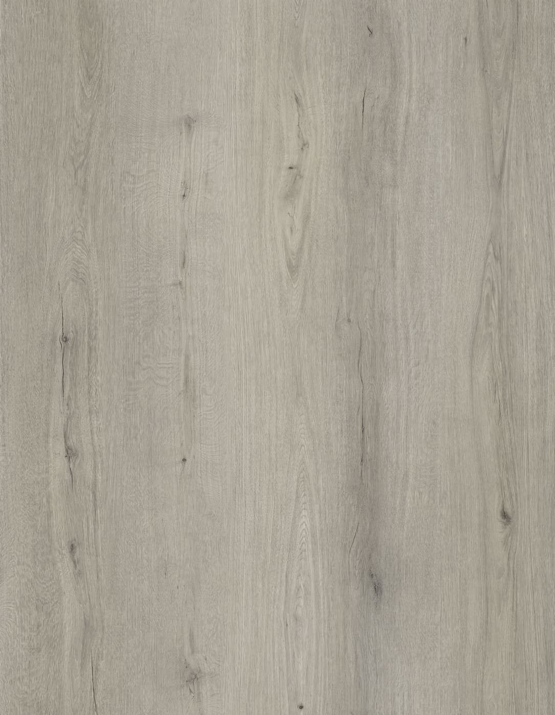 Oak Pearl