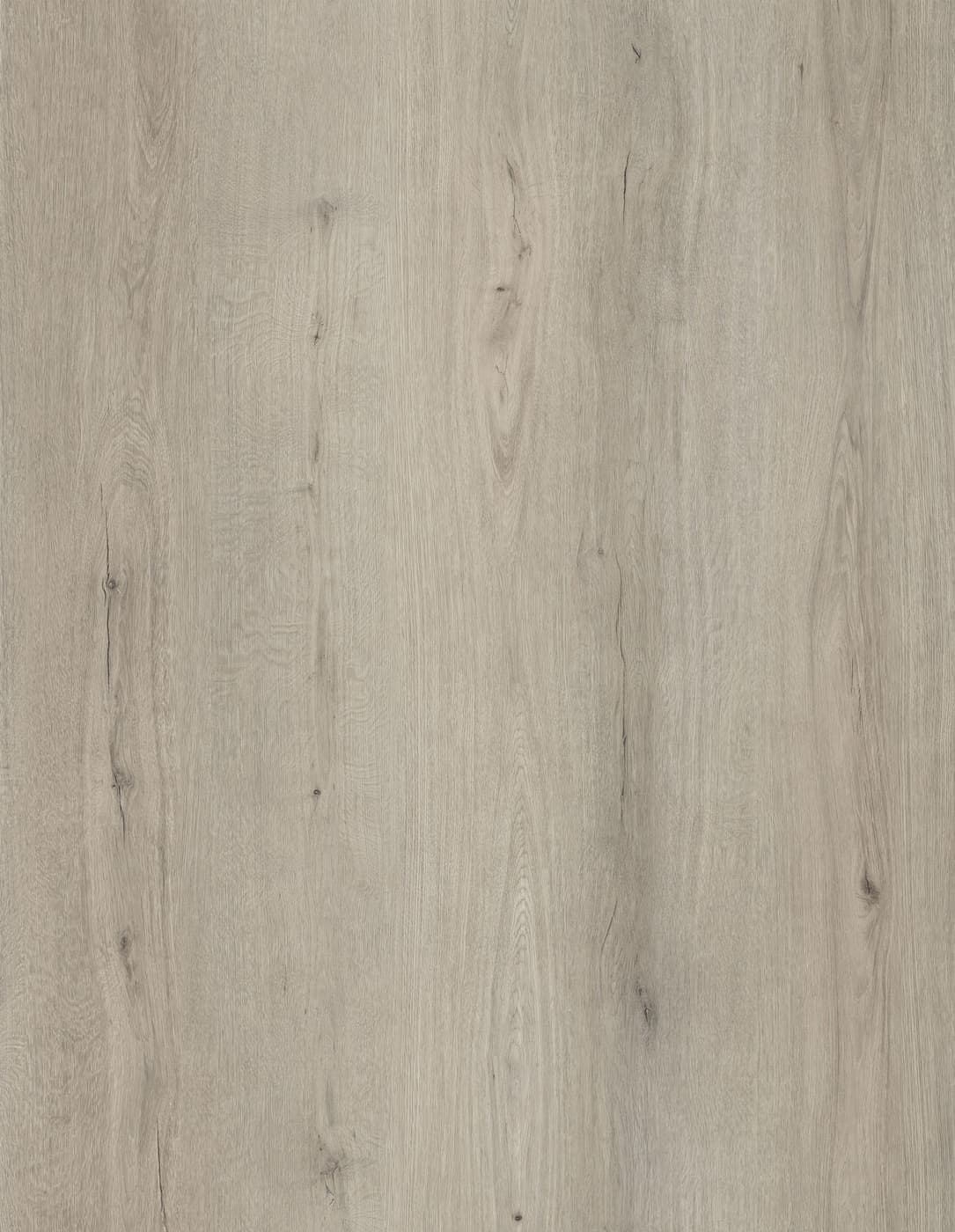 Oak Mist