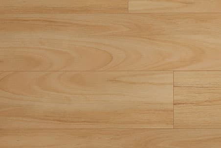 Aqua Blackbutt