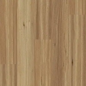 QLD Blackbutt