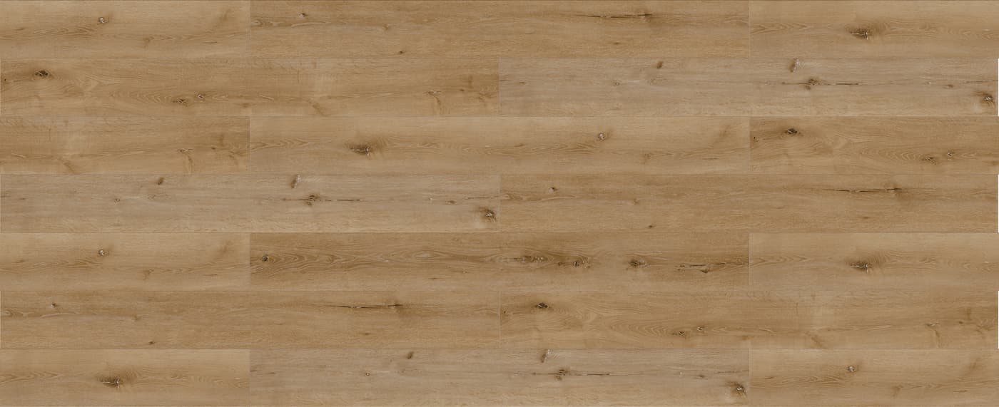 European Oak