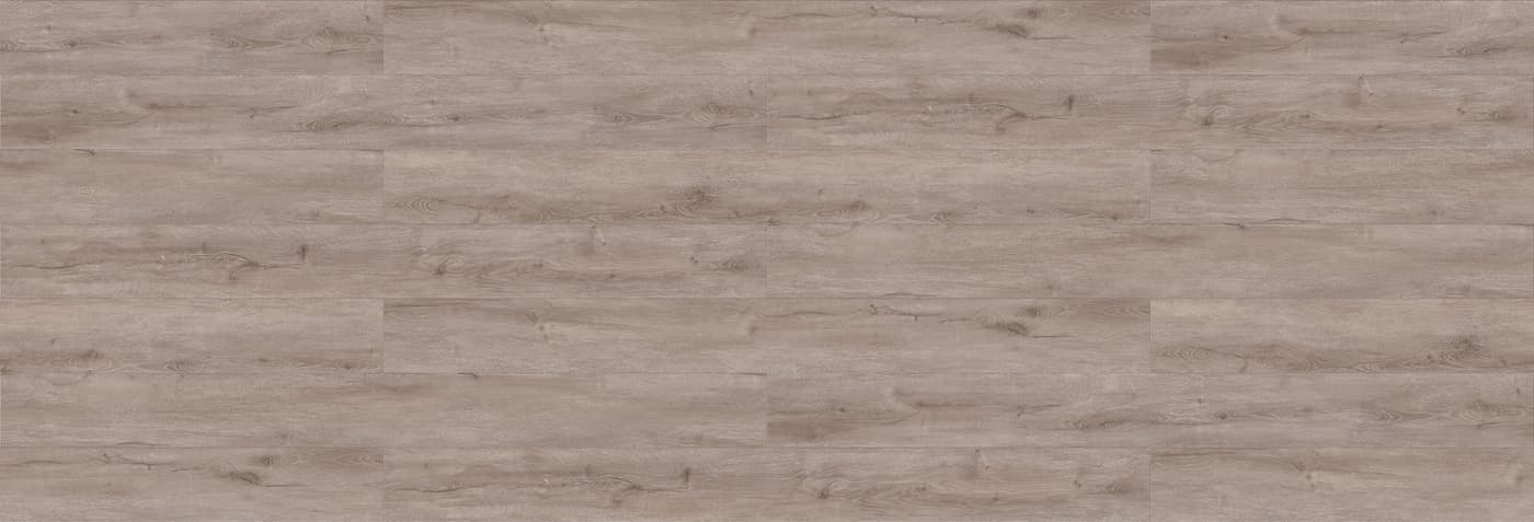 Grey Gum
