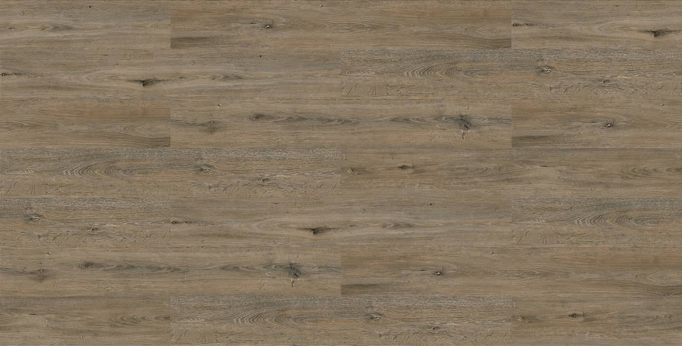 Black Oak