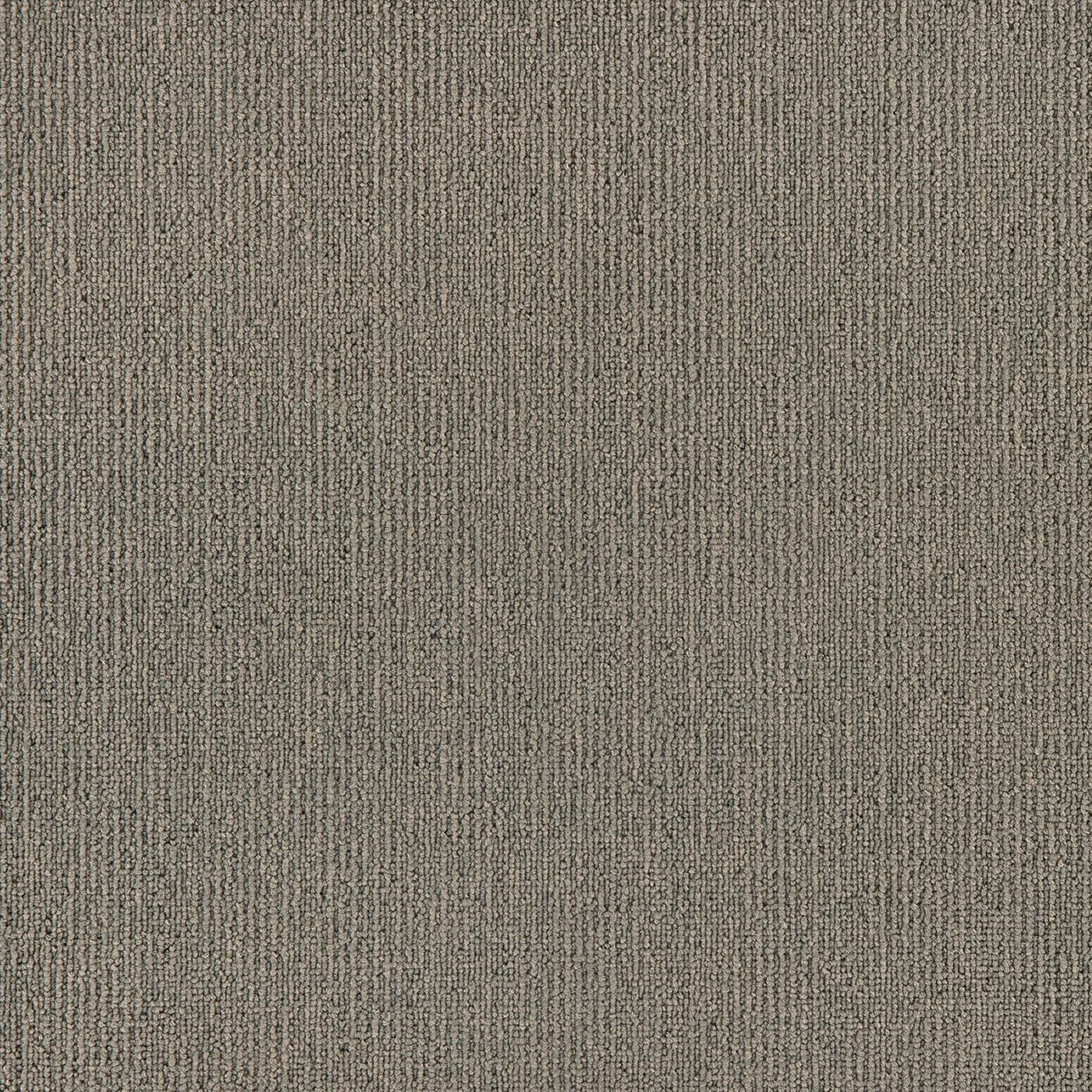 Elegance - Putty - Carpet Tiles Melbourne