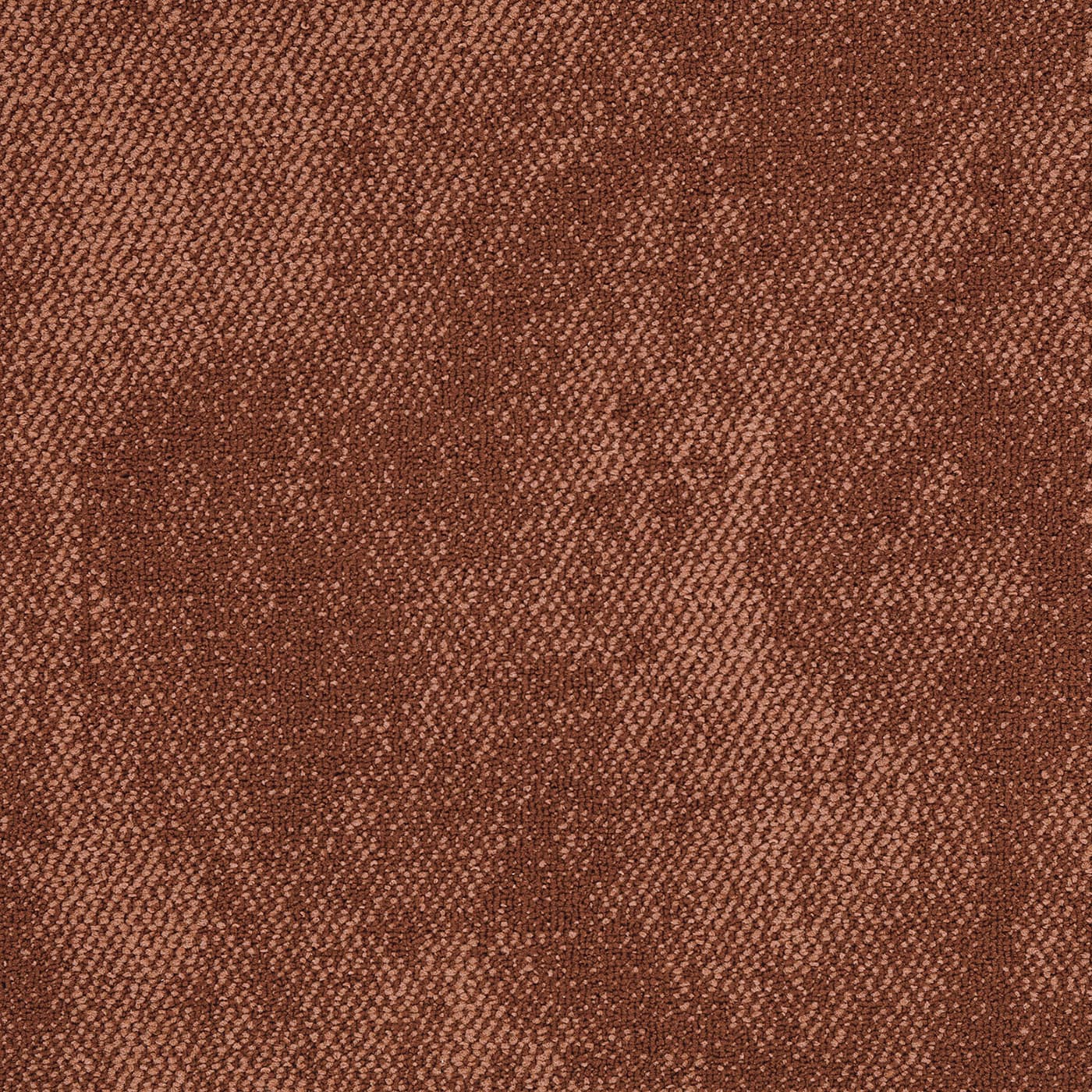 Copper Moon