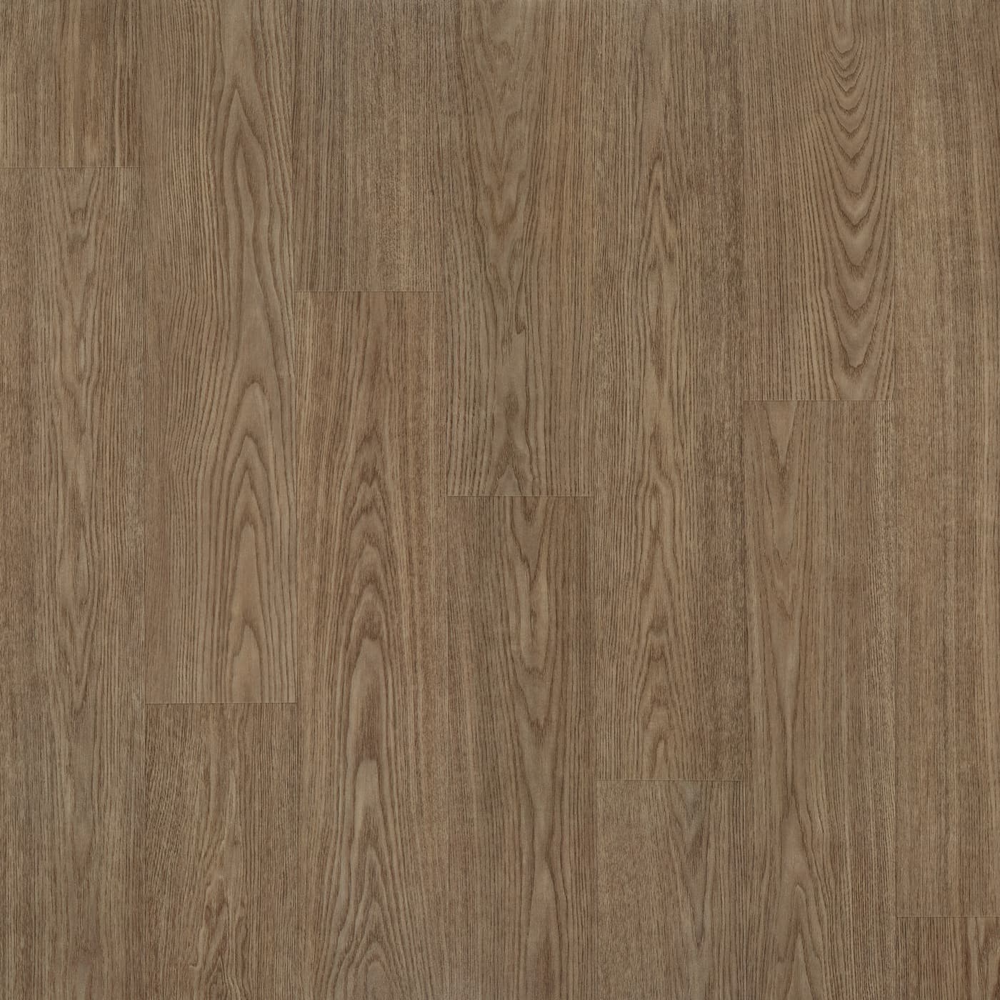 Champagne Ash