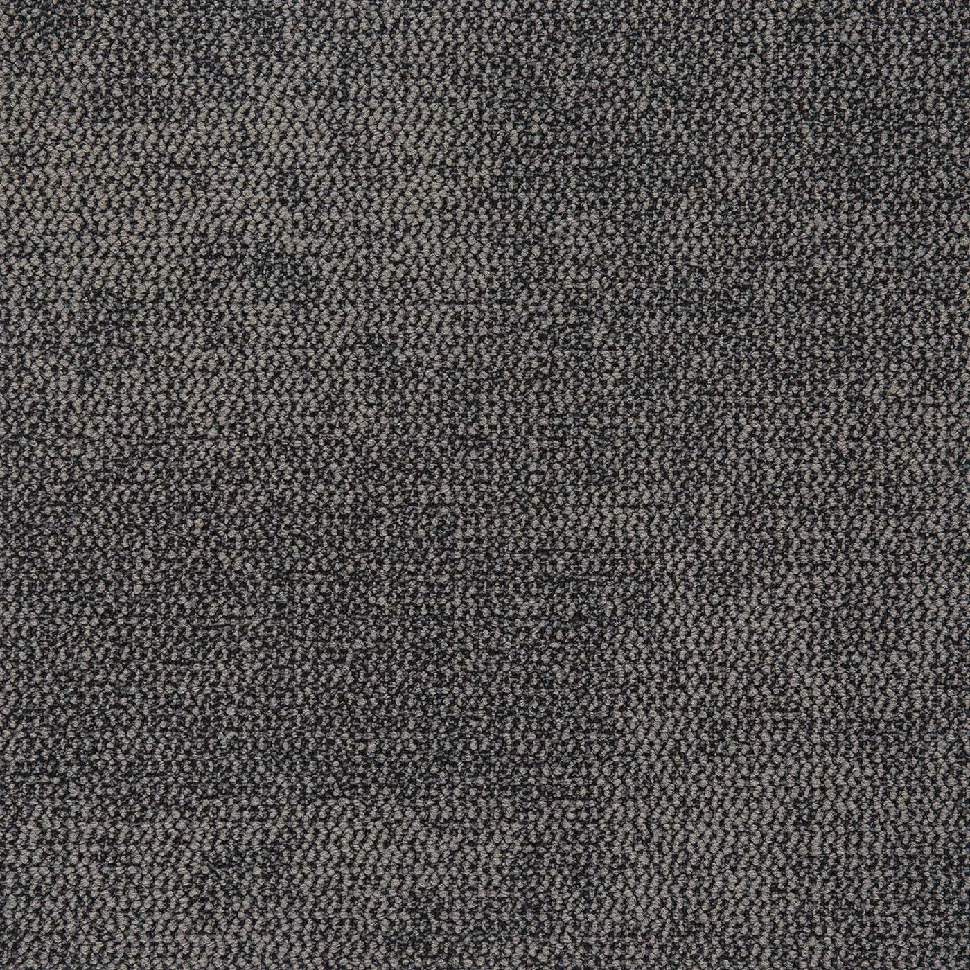 Magnitude