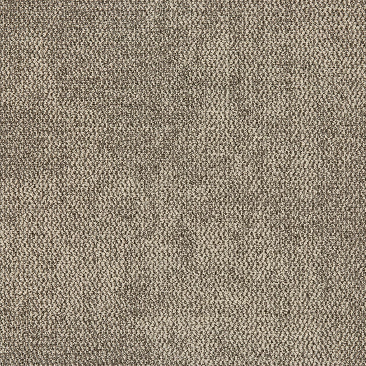Nova - Scope - Carpet Tiles Melbourne