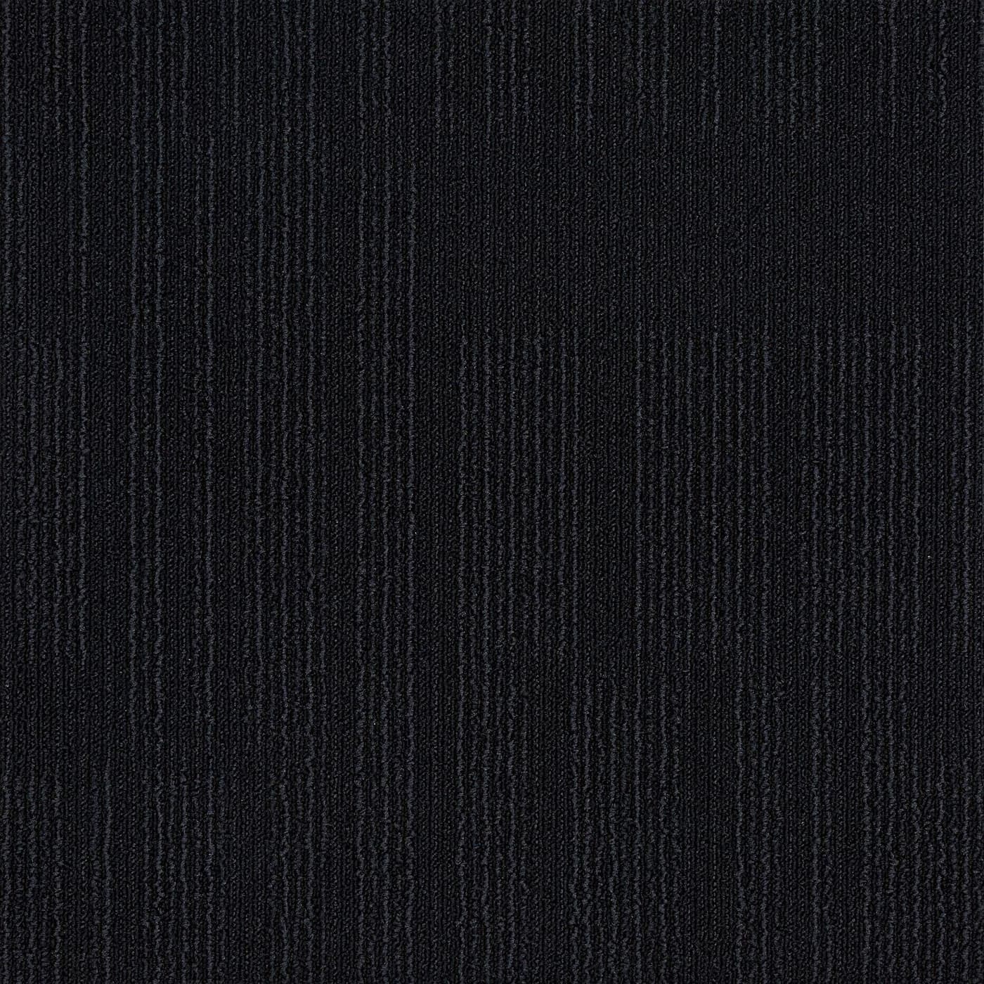 Sierra in Coal