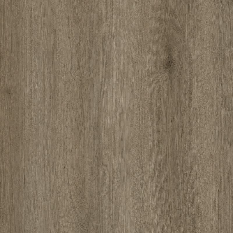 Northern Oak