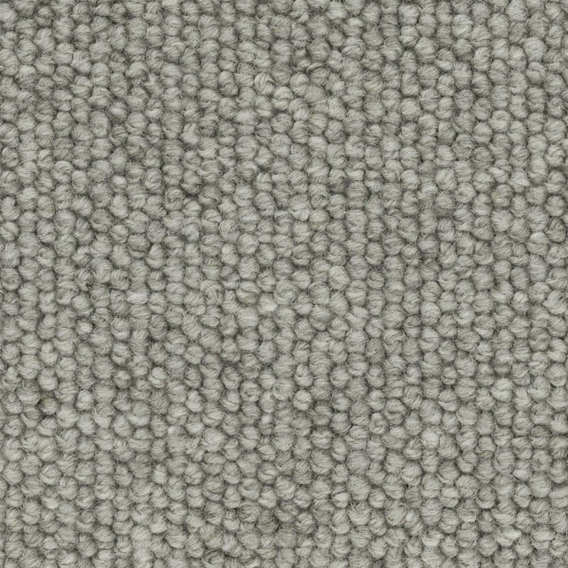 Oyster Shell