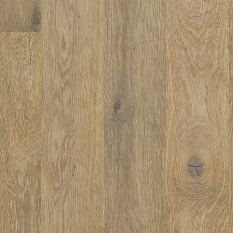 Elm Oak