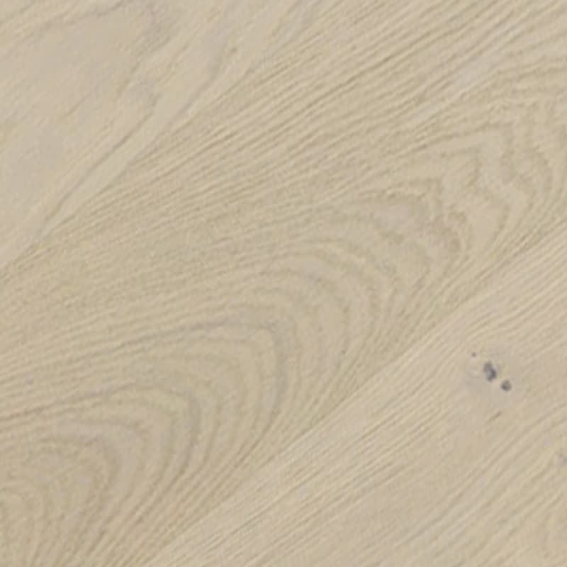 Coastal Oak