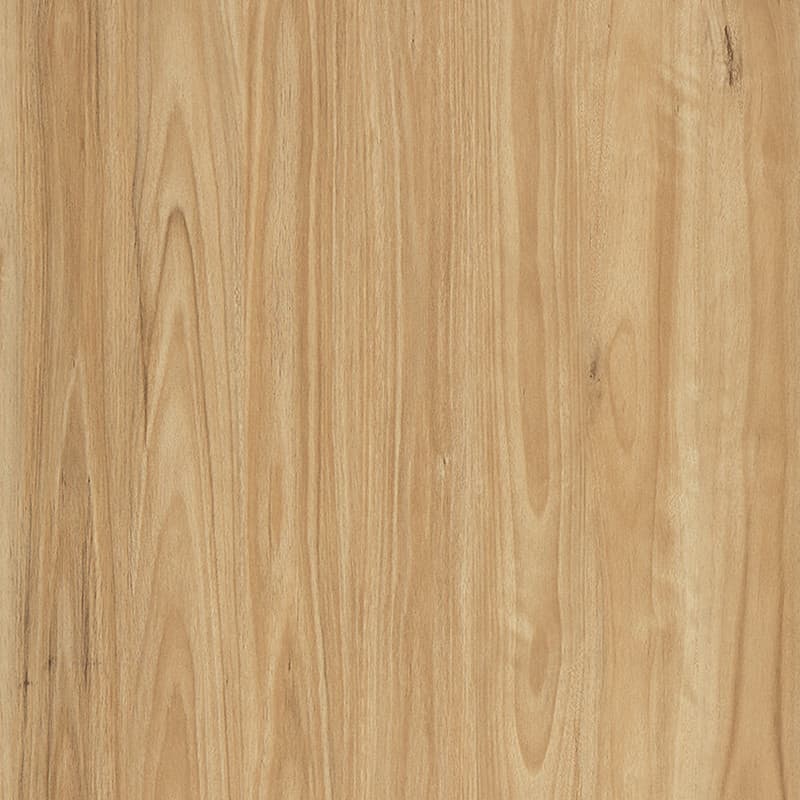 Alpine Blackbutt