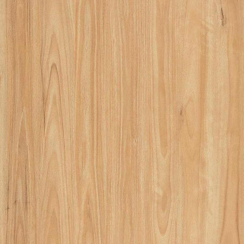 Eastern Blackbutt