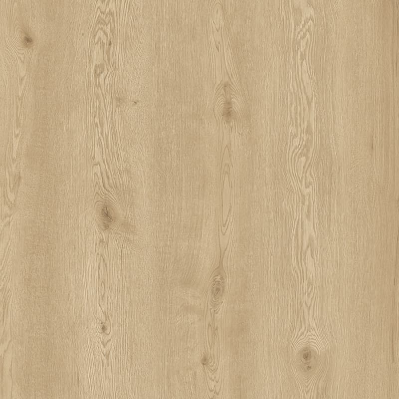 Harbour Oak