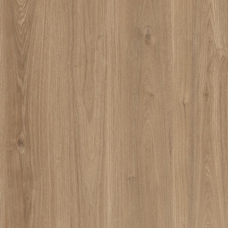 Bondi Oak