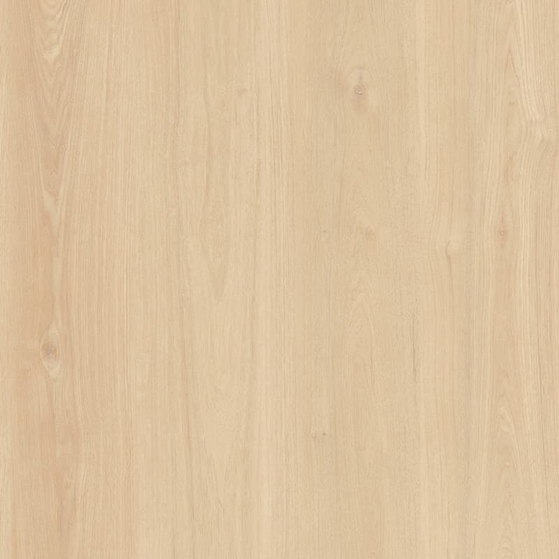 Bruny Oak