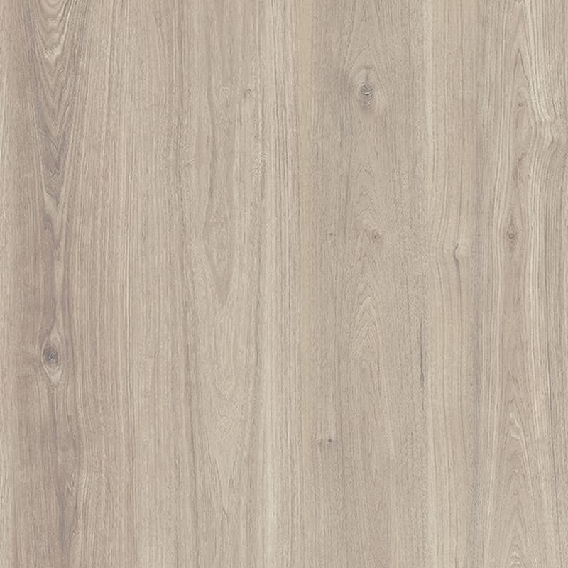 Seacliff Oak