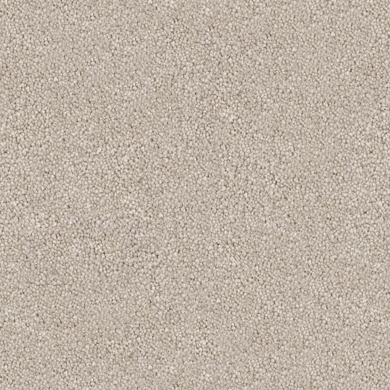 Modern Appeal - Aesthetic - Carpet Melbourne