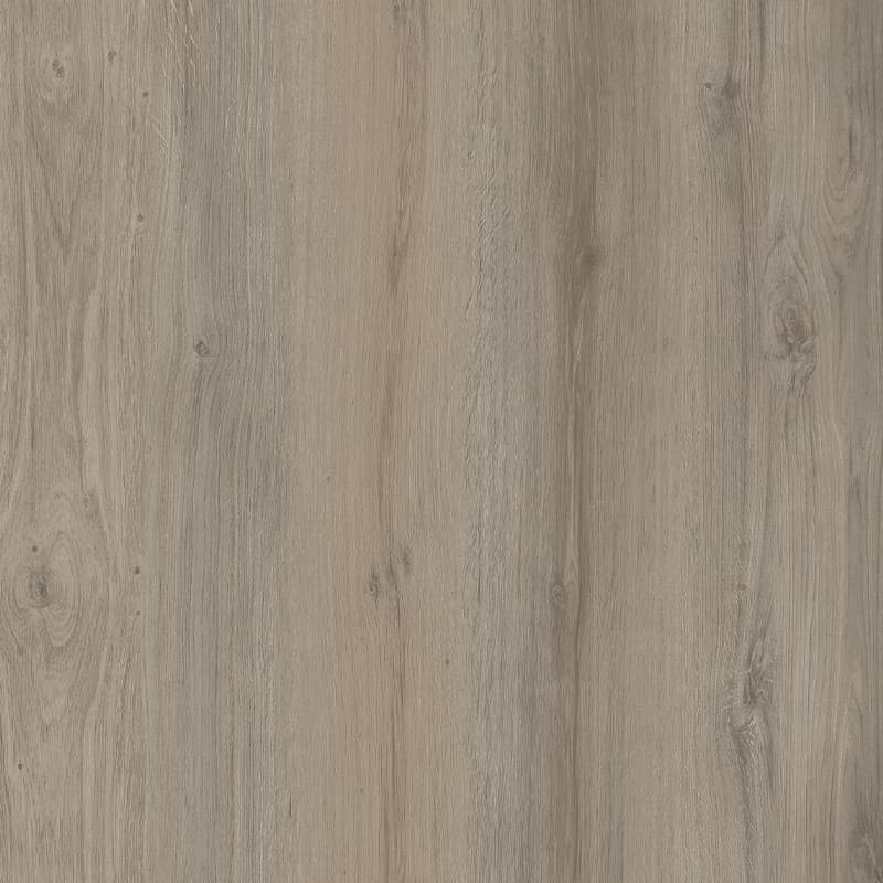 Silver Hardwood
