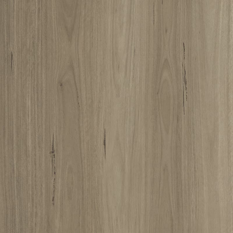 Stony Blackbutt
