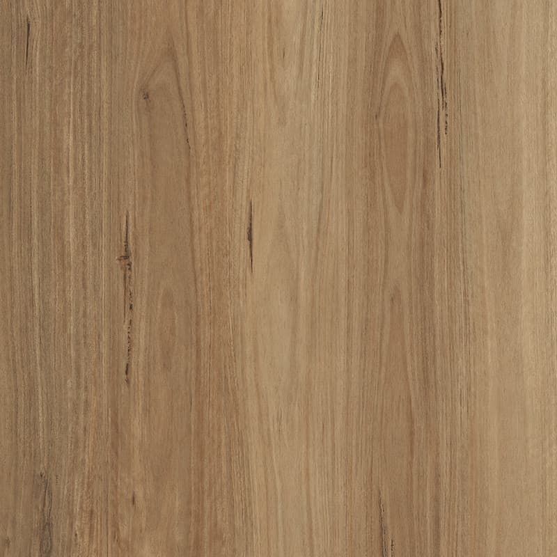 Classic Blackbutt