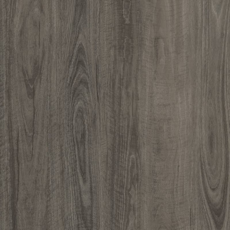 Iron Spotted Gum