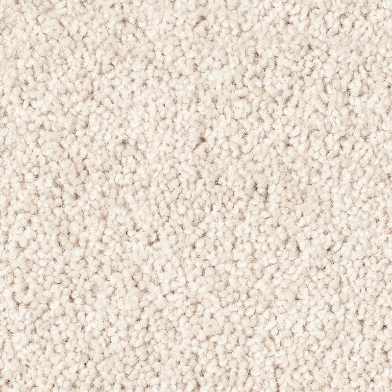 Queenstwist - Ecru - Carpet Melbourne