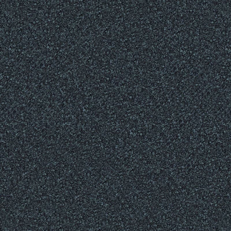 Ray