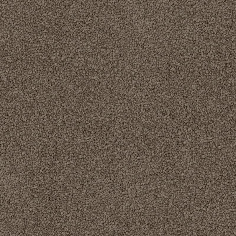 Soft Sunrise in Earthen - Carpet flooring sample