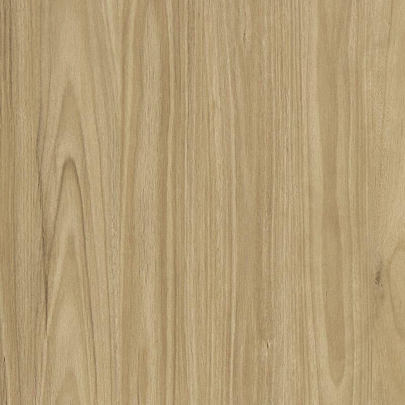 Alpine Blackbutt