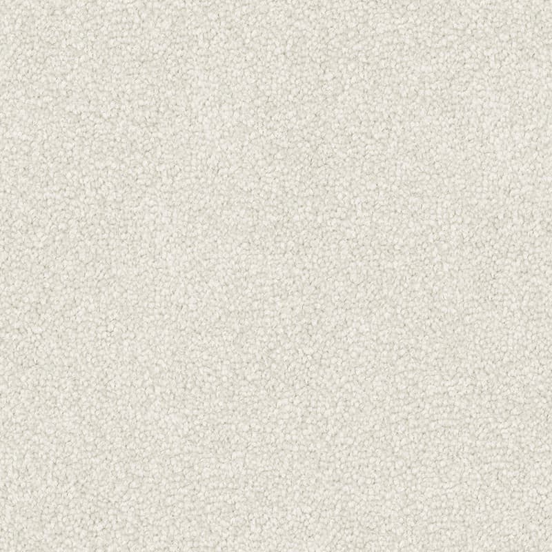 Bleached Shell