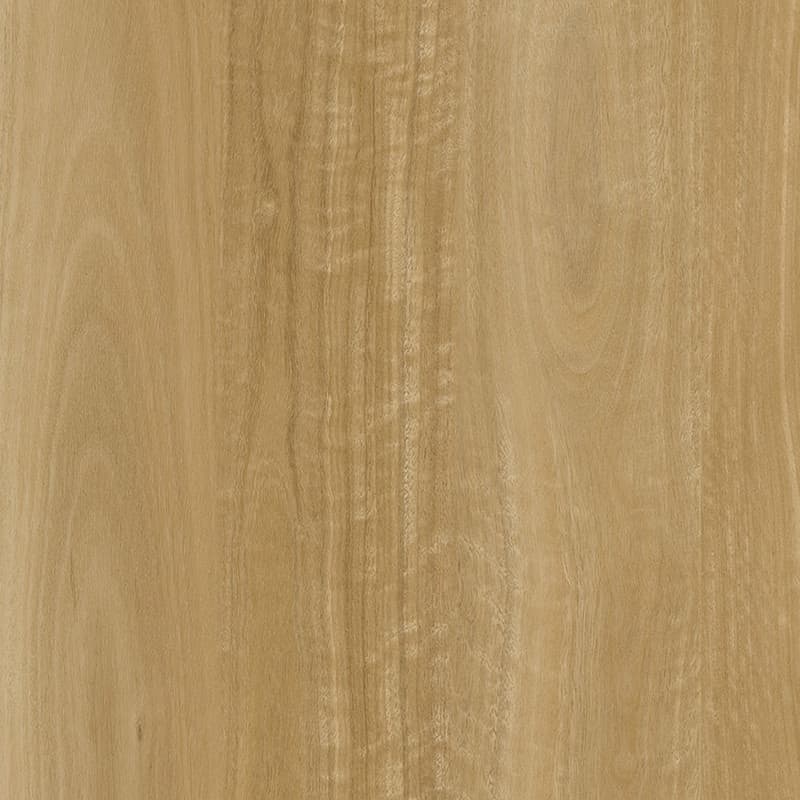 Prime Blackbutt