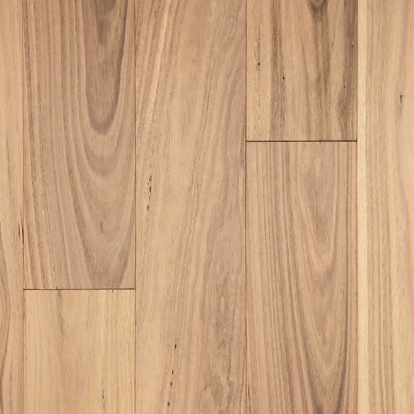 Burleigh - First Floors Blackbutt Invisible Uv Lacquer Square - Engineered Melbourne