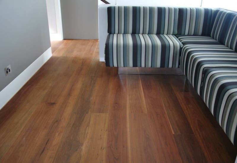 Grey Ironbark