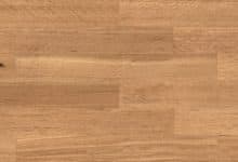 Blackbutt