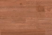 Blue Gum