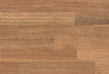 Spotted Gum