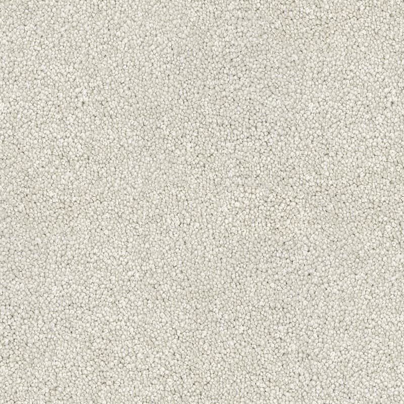 Coonawarra - Cream - Carpet Melbourne