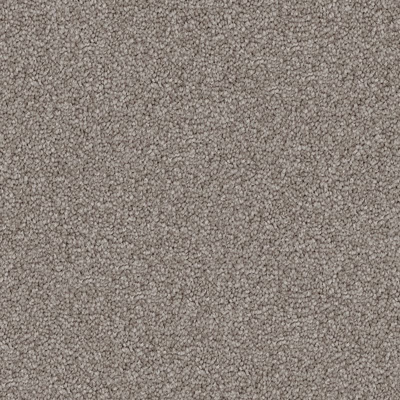 Endless Charm in Studio Stipple